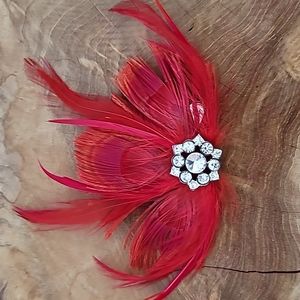 Feather hair/hat clip